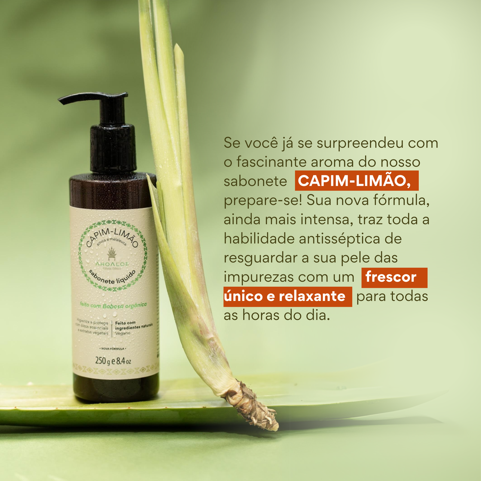 Sabonete líquido Capim Limão AhoAloe 250ml - Imagem 2