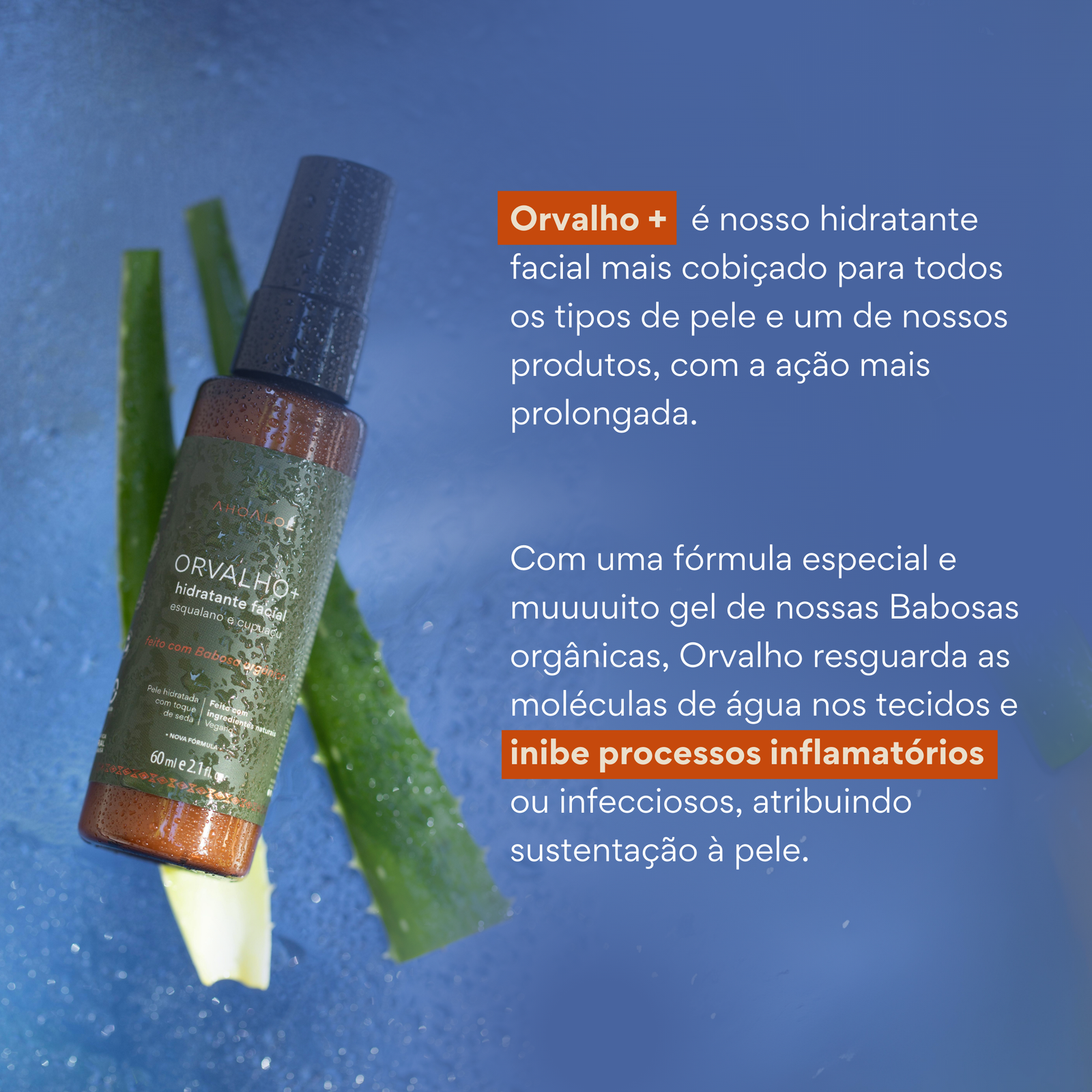Hidratante Facial Orvalho AhoAloe 60ml