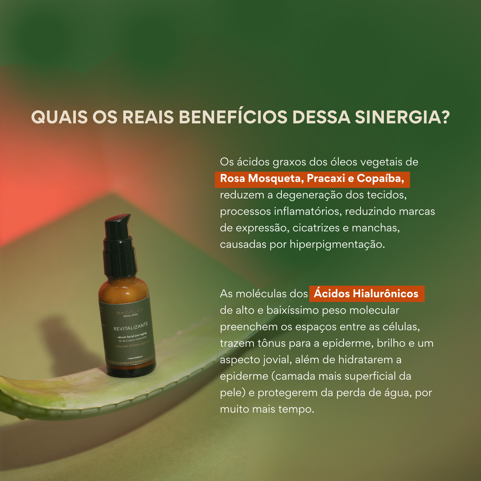 Sérum Facial Pro-Aging Revitalizante AhoAloe 30ml - Imagem 2