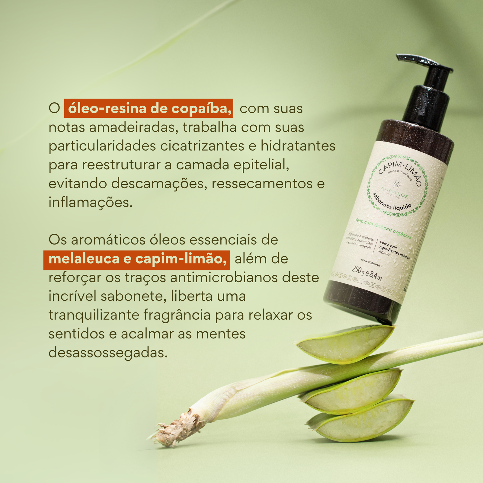 Sabonete líquido Capim Limão AhoAloe 250ml - Imagem 3
