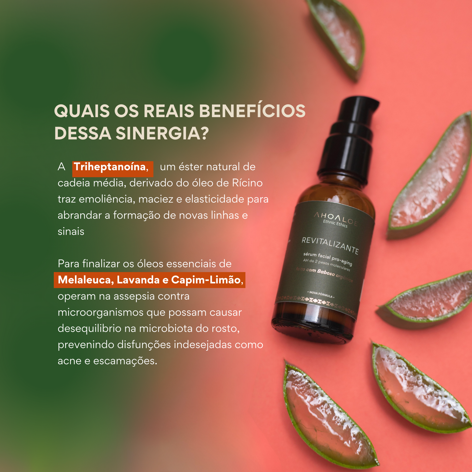 Sérum Facial Pro-Aging Revitalizante AhoAloe 30ml - Imagem 3